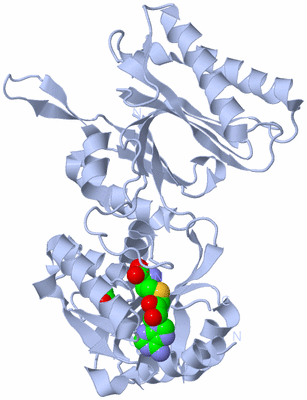 Image Biological Unit 1