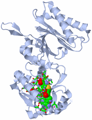 Image Biol. Unit 1 - sites