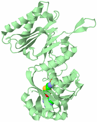 Image Biological Unit 2