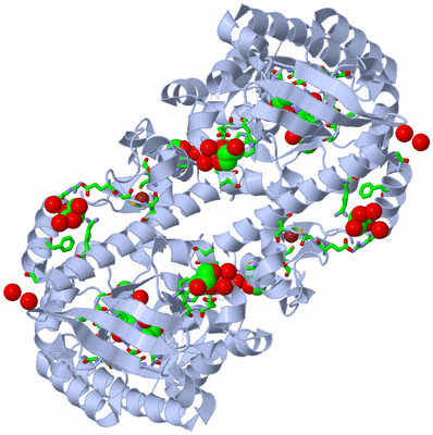 Image Biol. Unit 1 - sites