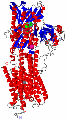 Image Asym./Biol. Unit