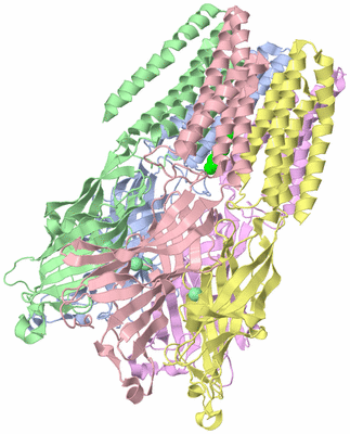 Image Asym./Biol. Unit