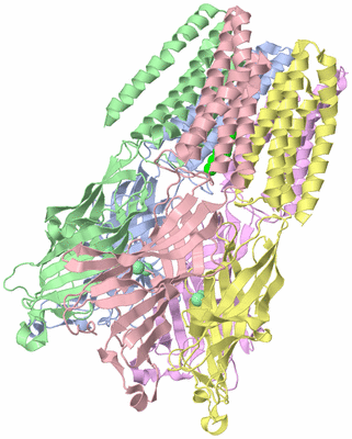 Image Asym./Biol. Unit