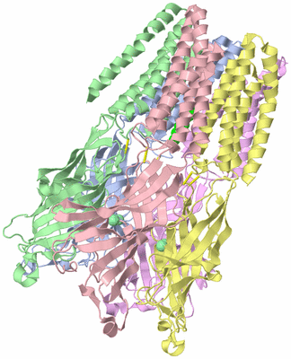 Image Asym./Biol. Unit