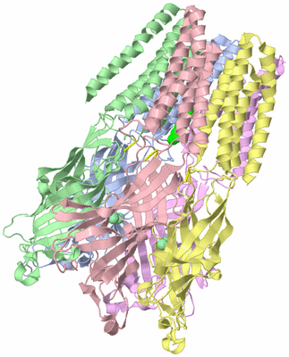 Image Asym./Biol. Unit