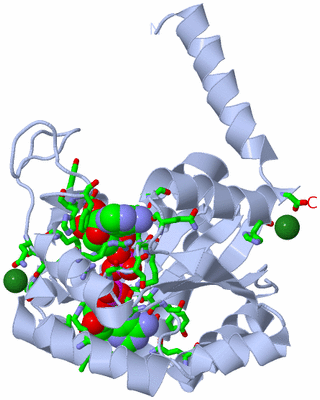 Image Biol. Unit 1 - sites