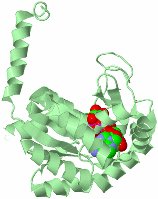 Image Biological Unit 2