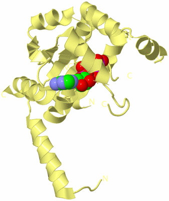 Image Biological Unit 4