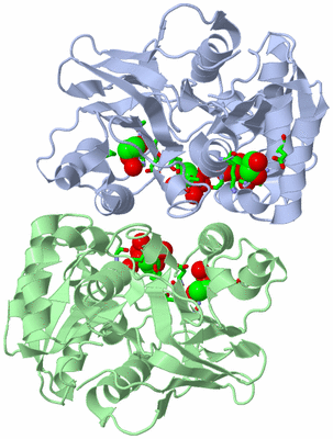 Image Asym./Biol. Unit - sites