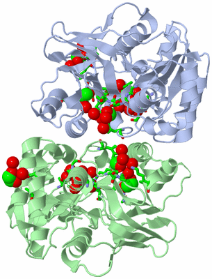 Image Asym./Biol. Unit - sites