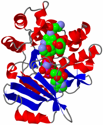 Image Asym./Biol. Unit