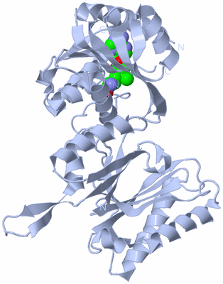 Image Biological Unit 1