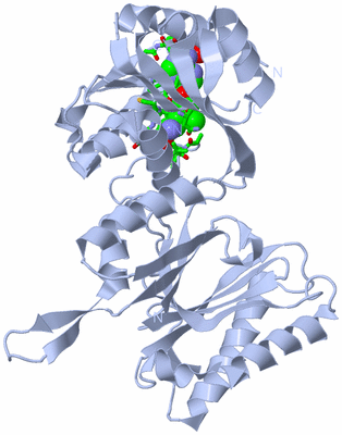 Image Biol. Unit 1 - sites