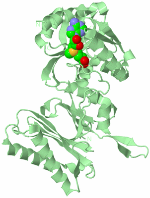 Image Biological Unit 2