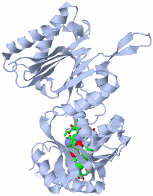 Image Biol. Unit 1 - sites