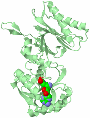 Image Biological Unit 2