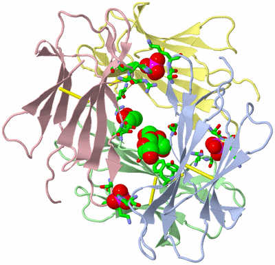 Image Biol. Unit 1 - sites