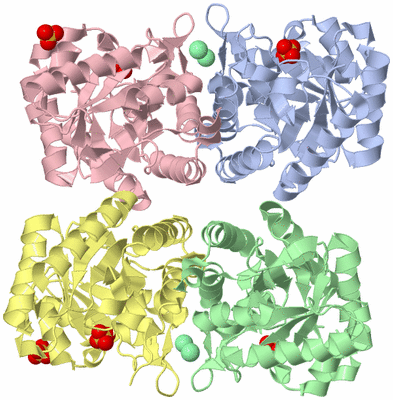 Image Biological Unit 1