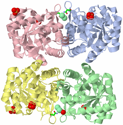 Image Biol. Unit 1 - sites