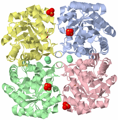 Image Biological Unit 2