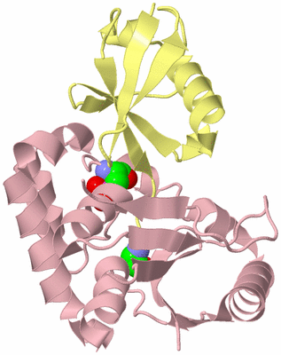 Image Biological Unit 2