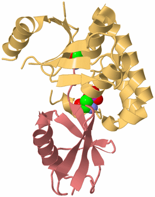 Image Biological Unit 4
