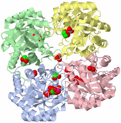 Image Asym./Biol. Unit