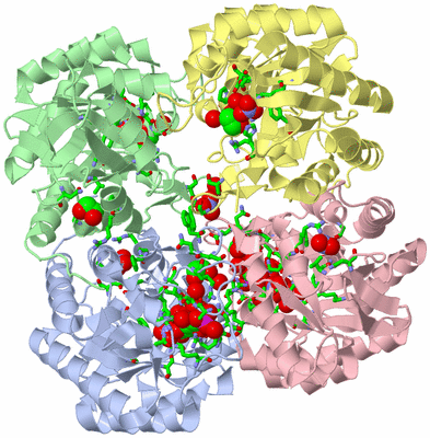 Image Asym./Biol. Unit - sites