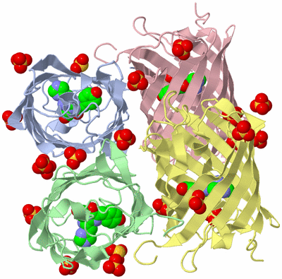 Image Asym./Biol. Unit