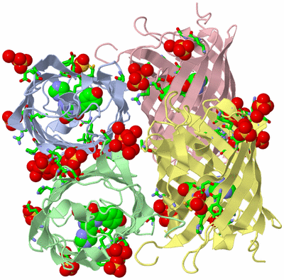 Image Asym./Biol. Unit - sites