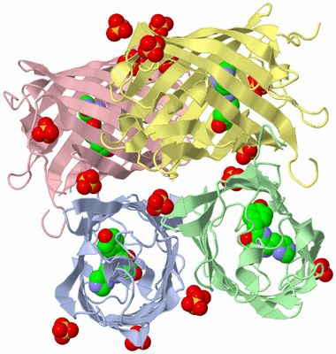 Image Asym./Biol. Unit