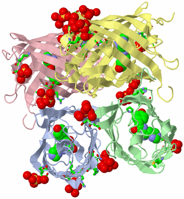 Image Asym./Biol. Unit - sites