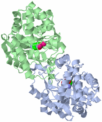 Image Asym./Biol. Unit