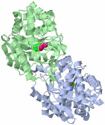 Image Asym./Biol. Unit