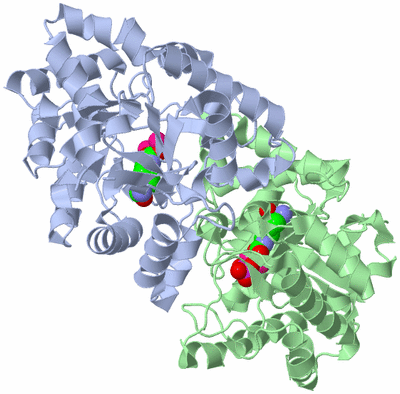 Image Asym./Biol. Unit