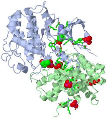 Image Asym./Biol. Unit - sites