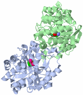 Image Asym./Biol. Unit