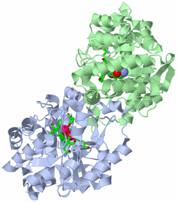 Image Asym./Biol. Unit - sites