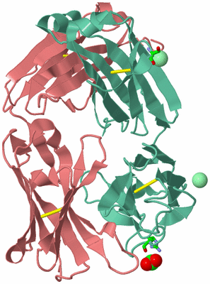 Image Biol. Unit 1 - sites