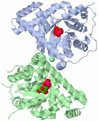 Image Asym./Biol. Unit