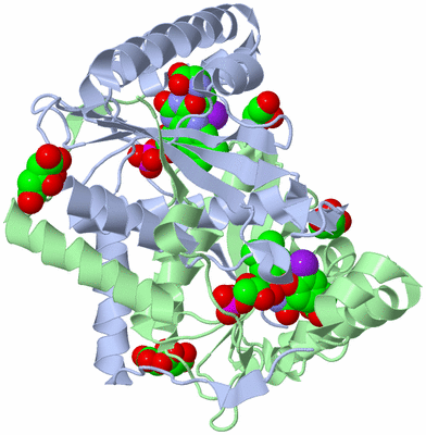 Image Asym./Biol. Unit