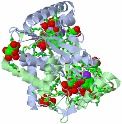 Image Asym./Biol. Unit - sites