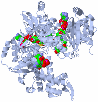 Image Biological Unit 1