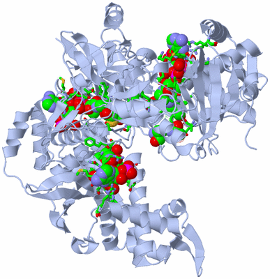 Image Biol. Unit 1 - sites