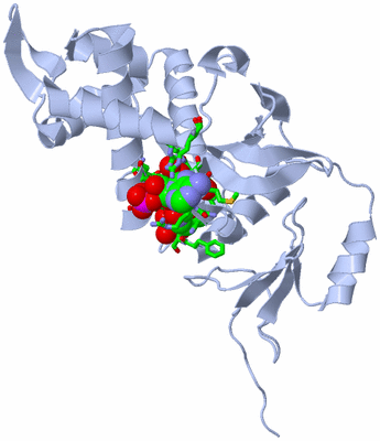 Image Asym. Unit - sites