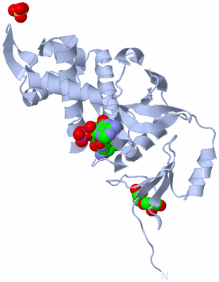 Image Biological Unit 1