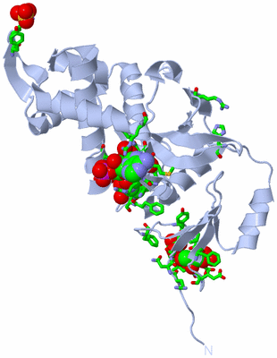 Image Biol. Unit 1 - sites