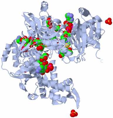 Image Biological Unit 2