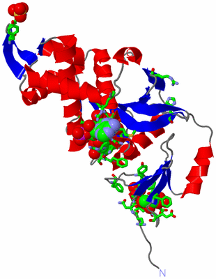 Image Asym. Unit - sites