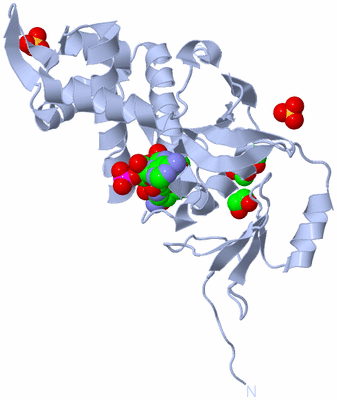 Image Biological Unit 1